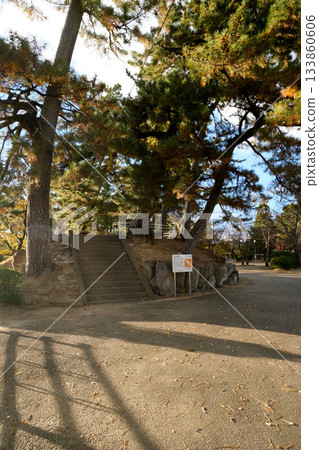 三重縣桑名市_休華公園16_2024年12月 133860606