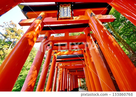 京都府，伏見稻荷大社，千鳥居（近月之宮本社），京都市伏見區，2022年2月 133860768