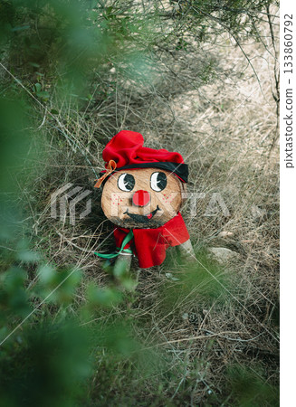 a small Tio de Nadal in woodland undergrowth 133860792