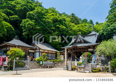 新鮮的綠色Okubo-ji 133860886