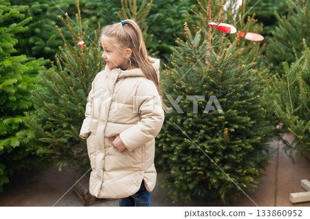 A small girl chooses a Christmas tree in the market. A small girl chooses a Christmas tree in the market. 133860952