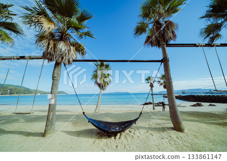 享受沙灘鞦韆的樂趣 133861147