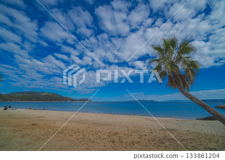 Enjoy a beach swing Enjoy a beach swing 133861204