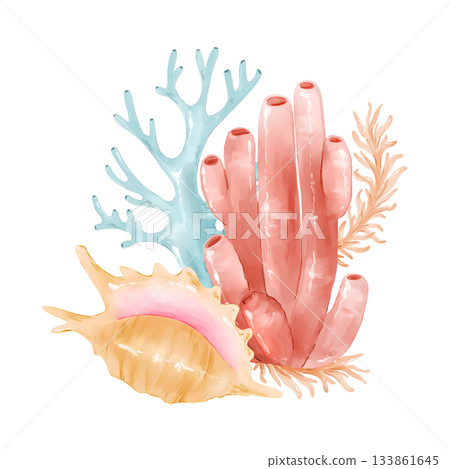 Underwater sea corals and seashells. Watercolor coastal clipart, hand drawn and isolated. Great for kids prints, fabric design, nursery decor, invitations, branding, packaging, and summer stationery. Underwater sea corals and seashells. Watercolor coastal clipart, hand drawn and isolated. Great for kids prints, fabric design, nursery decor, invitations, branding, packaging, and summer stationery. 133861645