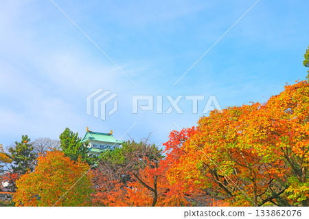 愛知縣名古屋市名古屋城的秋景 133862076