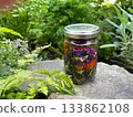 Lots of tinctures, dried herb leaves and flowers Lots of tinctures, dried herb leaves and flowers 133862108