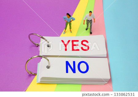 YES or NO YES or NO 133862531