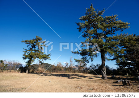三重縣鳥羽市_鳥羽城遺址_2024年12月25日 133862572
