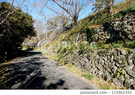 Toba City, Mie Prefecture_Toba Castle Ruins 4_December 2024 133862593