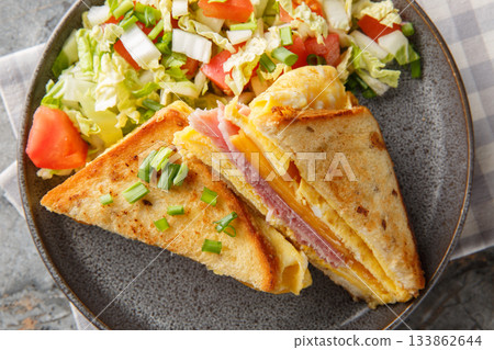 Hot sandwich with egg omelet, cheese and ham close-up in a plate. Horizontal top view Hot sandwich with egg omelet, cheese and ham close-up in a plate. Horizontal top view 133862644