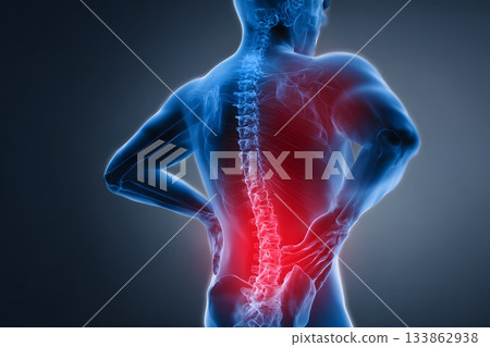 The human body shows back pain in red on the spine. 133862938