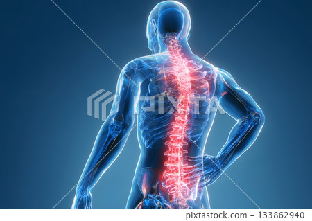 A glowing red spine highlights discomfort in a translucent blue human torso as it stands with hand on hip. 133862940