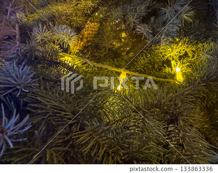 Cozy Winter Branches Adorned With Glowing Lights And Shimmering Effects Cozy Winter Branches Adorned With Glowing Lights And Shimmering Effects 133863336