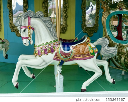 武生中央公園旋轉木馬 武生中央公園旋轉木馬 133863667