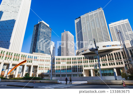 Tokyo Metropolitan Assembly Building, Shinjuku 133863675