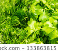Background of parsley and dill. 133863815