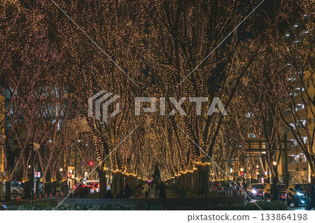 Sendai Pageant of Light Night View Illumination Sendai Pageant of Light Night View Illumination 133864198