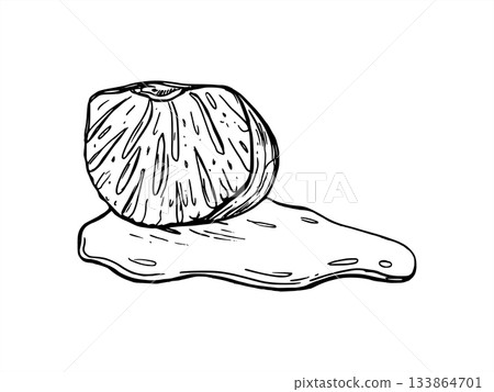 Monochrome peeled orange, lemon or grapefruit slice in juice puddle vector isolated illustration painted by black inks. Citrus piece etching drawing. Tropical fruit for beverage packaging, bar menu 133864701