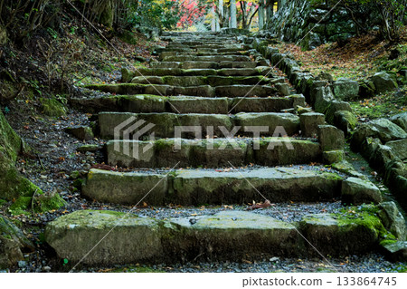 Stairs of stone pavement Stairs of stone pavement 133864745