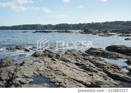 岩石海岸 133865557