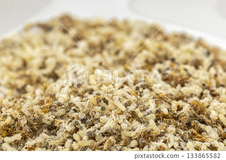 A close-up image showing a dense cluster of ant larvae, pupae, and adult ants. The scene captures the intricate details of their 133865582