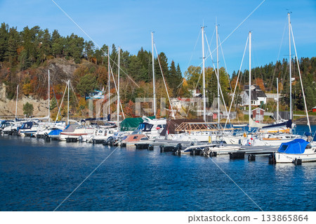 A peaceful Norwegian harbor with sailboats moored at a marina 133865864