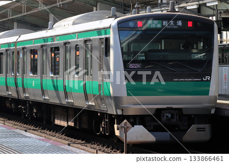 Saikyo Line E233 series train (direct to the Rinkai Line) stopped at Akabane Station Saikyo Line E233 series train (direct to the Rinkai Line) stopped at Akabane Station 133866461