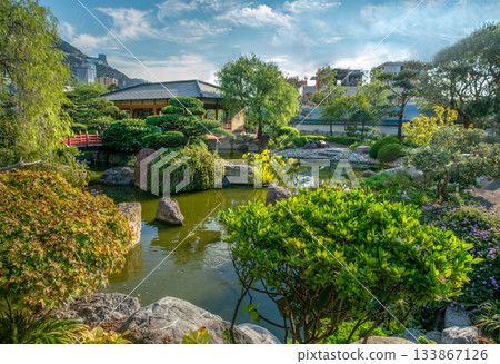 Pond in Japanese garden , in monaco (Monte Carlo) at summer 133867126
