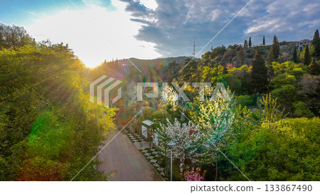 Botanical garden in bloom time in Tbilisi April 133867490