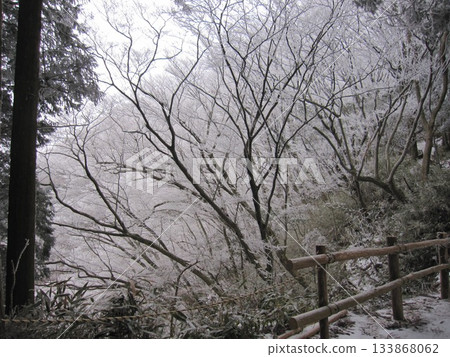 A view of frost-covered trees and wooden fences illuminating a snow-covered mountain trail in winter A view of frost-covered trees and wooden fences illuminating a snow-covered mountain trail in winter 133868062