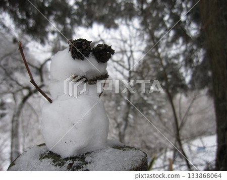 Adorable mini snowman made from a tree stump with pine cone eyes Adorable mini snowman made from a tree stump with pine cone eyes 133868064