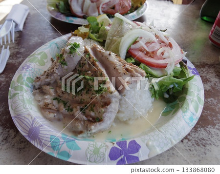 夏威夷雞肉沙拉佐肉汁 133868080