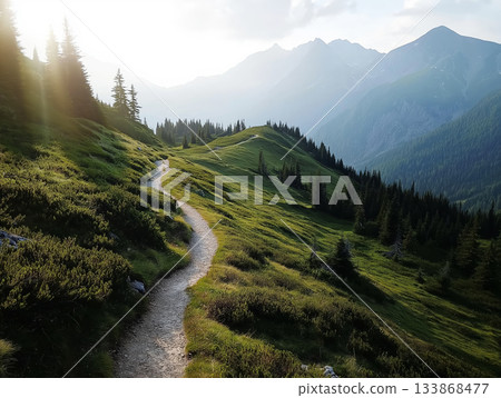 Winding mountain trail through 133868477