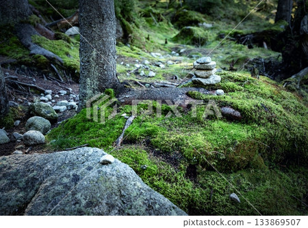 background in the forest with a pebble man background in the forest with a pebble man 133869507