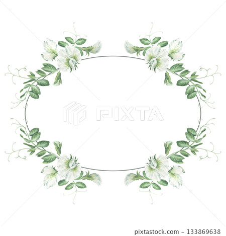Oval frame with sprouts, sprigs, leaves and flowers of garden peas. Watercolor illustration hand drawn and isolated on a white background. Ideal for postcards, invitations, posters, tableware. 133869638
