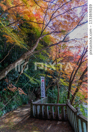 Scenery of Jakko-in temple grounds in autumn Scenery of Jakko-in temple grounds in autumn 133869889