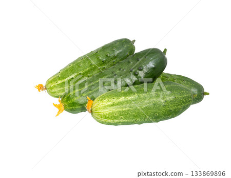 Cucumbers isolated. Fresh organic cucumber on white background. 133869896