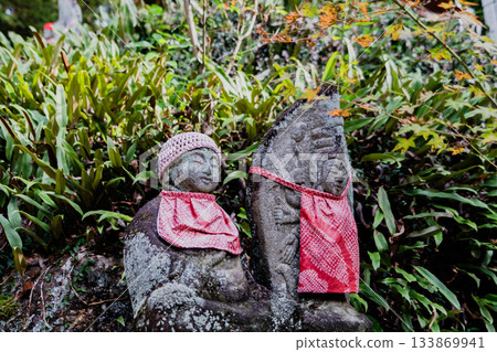 Scenery of Jakko-in temple grounds in autumn Scenery of Jakko-in temple grounds in autumn 133869941
