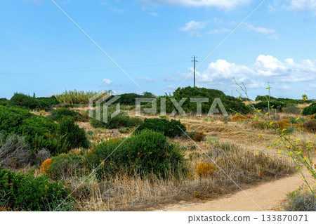 Dry grassy hills with green shrubs under blue sky. Dry grassy hills with green shrubs under blue sky. 133870071