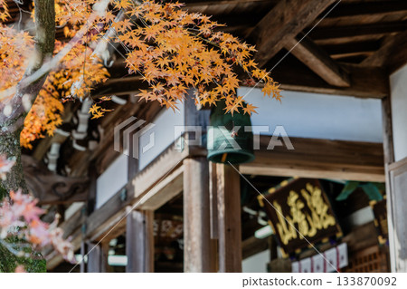 Scenery of Jakko-in temple grounds in autumn Scenery of Jakko-in temple grounds in autumn 133870092