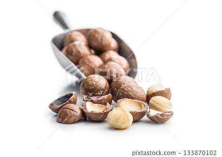 Tasty macadamia nuts in scoop isolated on white background. 133870102
