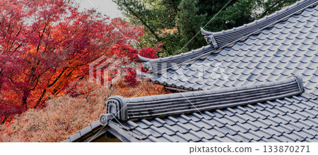 寂光院秋天的景色 133870271