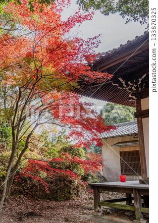 寂光院秋天的景色 寂光院秋天的景色 133870325