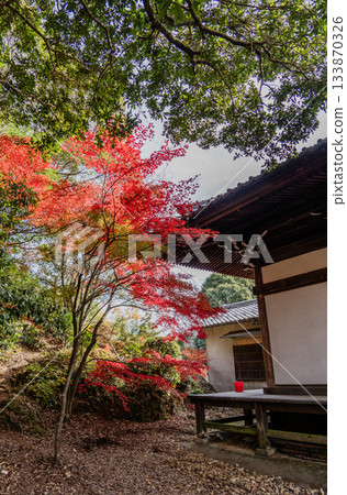 Scenery of Jakko-in temple grounds in autumn Scenery of Jakko-in temple grounds in autumn 133870326