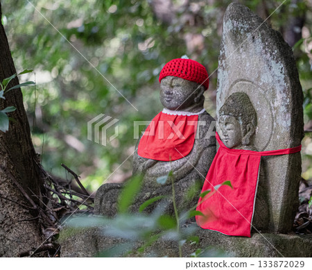 View of the Akino Jakkoin temple grounds View of the Akino Jakkoin temple grounds 133872029