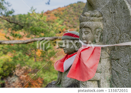 秋野邪光院寺廟庭院景色 133872031