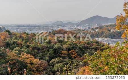 從秋野邪光院庭院看到的景色 從秋野邪光院庭院看到的景色 133872033