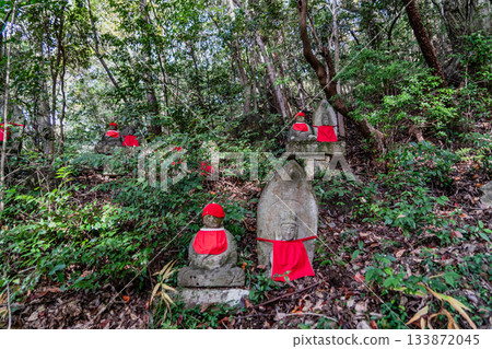 寂光院秋天的景色 133872045