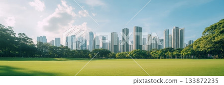 Lush green meadow stretches towards a modern city skyline under a bright sunny sky, creating a harmonious blend of nature and urban development Lush green meadow stretches towards a modern city skyline under a bright sunny sky, creating a harmonious blend of nature and urban development 133872235