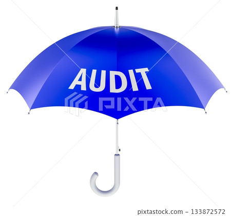 Audit concept with blue umbrella. 3D rendering Audit concept with blue umbrella. 3D rendering 133872572